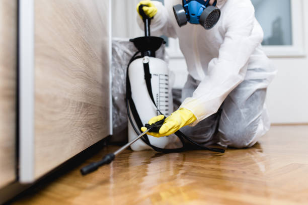 Best Wasp Removal Services  in South Dos Palos, CA