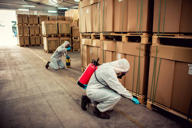 Best Pest Control Near Me in South Dos Palos, CA