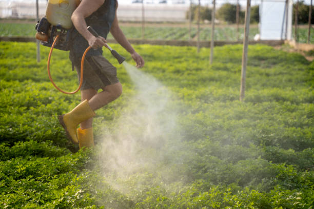 Best Wildlife Control Services  in South Dos Palos, CA