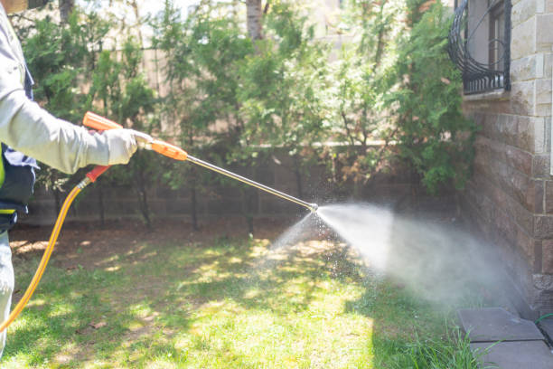 Best Emergency Pest Control  in South Dos Palos, CA